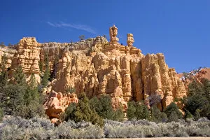 Images Dated 26th March 2006: Sandstone rock formation in the Red Canyon of the Dixie National Forest near Bryce