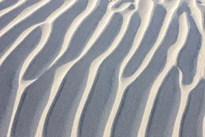 Death Valley Prints: Sandy Waves. Mesquite Sand Dunes. Death Valley. California