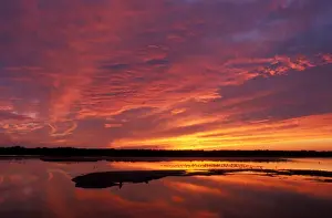 Sea Bird Prints: Sanibel, FL. The colors of sunset at Ding Darling National Wildlife Refuge on Sanibel