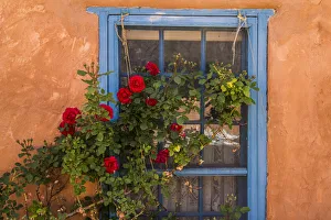 Santa Fe Prints: Santa Fe, New Mexico. Blue painted lattice wooden window with a red rose bush against