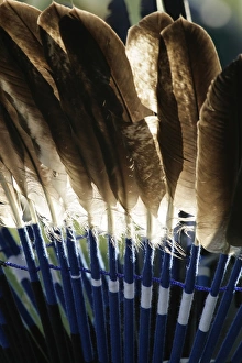 Images Dated 9th May 2009: Santa Fe, New Mexico, United States. Native American eagle feather ceremonial headdress