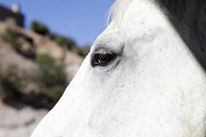 Images Dated 15th October 2011: Santa Fe, New Mexico, United States