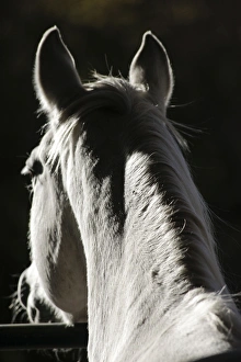 Images Dated 15th October 2011: Santa Fe, New Mexico, United States