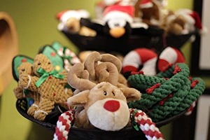 Images Dated 22nd December 2011: Santa Fe, New Mexico, United States. Holiday pet toys