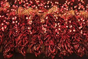 Images Dated 20th December 2011: Santa Fe, New Mexico, United States. Chili ristras with holiday lights