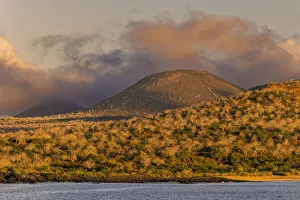 Volcanic Prints: Santiago Island, Galapagos Islands, Ecuador