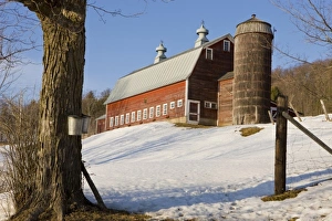 Sap buckets on maple trees on a farm in Pomfret, Vermont