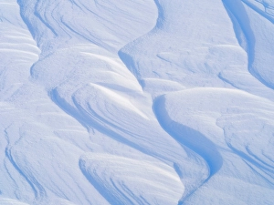 Tundra Prints: Sastrugi, wind erosion in snow