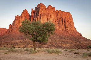 Saudi Arabia Prints: Saudi Arabia, Tabuk, Al-Disah. Desert landscape in the Prince Mohammed bin Salman Natural Reserve