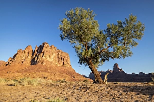 Saudi Arabia Prints: Saudi Arabia, Tabuk, Al-Disah. Desert landscape in the Prince Mohammed bin Salman Natural Reserve