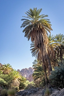 Wadi Prints: Saudi Arabia, Tabuk, Prince Mohammed bin Salman Natural Reserve