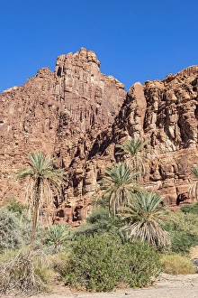 Wadi Prints: Saudi Arabia, Tabuk, Prince Mohammed bin Salman Natural Reserve