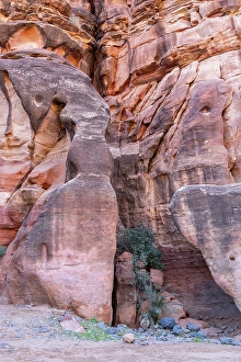 Wadi Prints: Saudi Arabia, Tabuk, Prince Mohammed bin Salman Natural Reserve