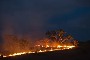 Images Dated 3rd October 2010: Savannah Fire Kanuku Mountains Rupununi GUYANA South America