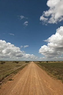 Horizon Over Land Prints: Savannah Scenic Rupununi GUYANA South America