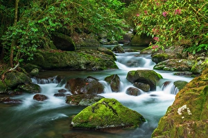 Prints of Savegre River in San Gerardo de Dota, San Jose Province, Costa Rica Images Dated 2024 October: Savegre River in San Gerardo de Dota, San Jose Province, Costa Rica