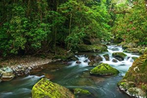 Prints of Savegre River in San Gerardo de Dota, San Jose Province, Costa Rica Images Dated 2024 October: Savegre River in San Gerardo de Dota, San Jose Province, Costa Rica