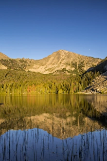 Sawtooth Mountain Prints: Sawtooth Mountain reflects into calm Sawtooth Lake in the Pioneers Mountains