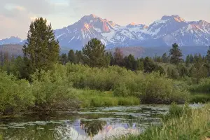 Images Dated 4th July 2008: Sawtooth mountains reflect in small wetlands near Stanley Idaho