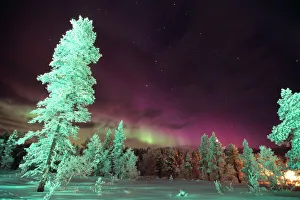 Star Prints: Scandinavia, Finland, Lapland, Kakslauttanen, The Aurora borealis
