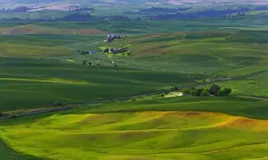 Images Dated 14th June 2008: A scenic fiew of the Palouse countryside from Steptoe Bute in Washington State
