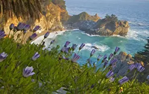 Scenic McWay Falls tumbles into the beach and the Pacific Ocean at Julia Pfeiffer