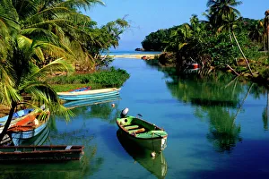Jamaica Prints: Scenic river near Ocho Rios in Jamaica