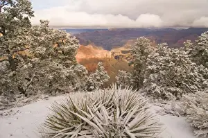 Images Dated 8th February 2009: Scenic snowy winter landscape along the south rim of the majestic Grand Canyon, Grand