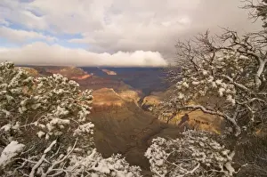 Images Dated 8th February 2009: Scenic snowy winter landscape along the south rim of the majestic Grand Canyon, Grand