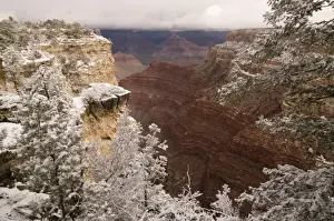 Images Dated 8th February 2009: Scenic snowy winter landscape along the south rim of the majestic Grand Canyon, Grand