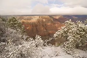 Images Dated 8th February 2009: Scenic snowy winter landscape along the south rim of the majestic Grand Canyon, Grand