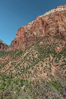 Images Dated 4th February 2024: Scenic vista of Zion National Park