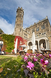 Saxony Prints: Schloss Eckberg Castle, Germany