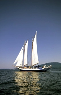Schooner Prints: Schooner Maine, USA