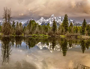 Images Dated 25th August 2020: Schwabacher Landing, Tetons, Wyoming