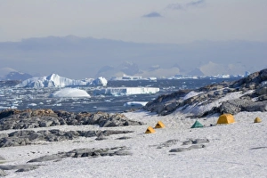 Research Prints: Scientists Research campground, Neko Harbor, Antarctica