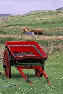 Cart Prints: Scotland, Isle of Skye, Kilmuir. Farm animals and wheelbarrow