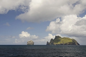 Images Dated 30th May 2011: Scotland, St. Kilda Islands, Outer Hebrides. Island of Boreray, home to the largest