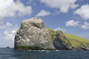Images Dated 30th May 2011: Scotland, St. Kilda Islands, Outer Hebrides. Island of Boreray, home to the largest