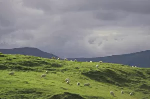 Scottish Highlands, Great Britain