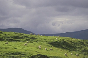 Images Dated 13th December 2004: Scottish Highlands, Great Britain