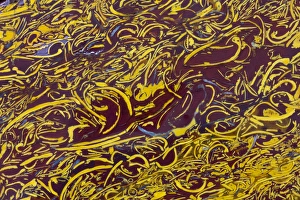 Jasper Prints: Scripted Jasper