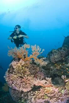 scuba divers at Similan Islands Underwater Park, Thailand, SE Asia (MR)