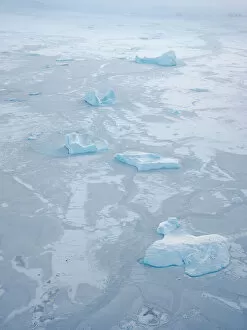 Sea ice with icebergs in the Baffin Bay, between Kullorsuaq