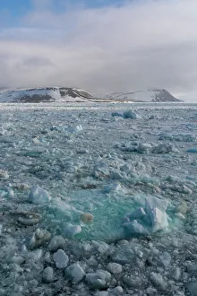 Sea Ice Prints: Sea ice in Wahlenbergfjorden fjord. Nordaustlandet, Svalbard, Norway