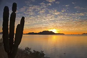 Sea Kayak Prints: Sea kayaker on the Gulf of California at sunrise near Loreto Mexico