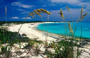Sea oats on pristine beach, Long Island, Bahamas
