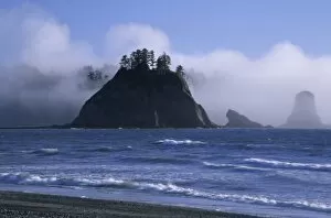 Sea stacks in fog, Rialto Beach, Olympic National Park, Washington