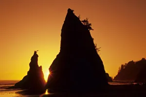 Sea stacks and reflections at sunset, Rialto Beach, Olympic National Park, Washington