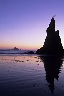 Images Dated 8th June 2007: Sea stacks and reflections at sunset, Rialto Beach, Olympic National Park, Washington